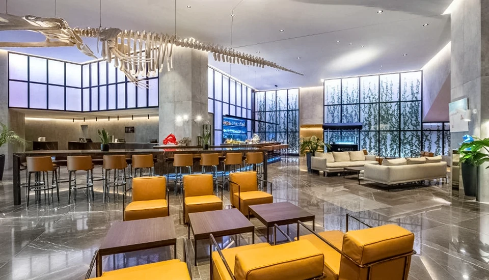 هتل پولمن اکسس تاورز تفلیس